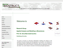 Tablet Screenshot of biostruct.uni-hd.de